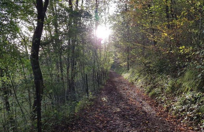 Riverside Retreat Viroinval - Foto 33