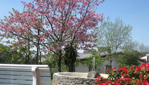 Ferienwohnungen Otto - Photo 3, Garden