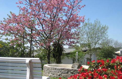 Ferienwohnungen Otto - Foto 3