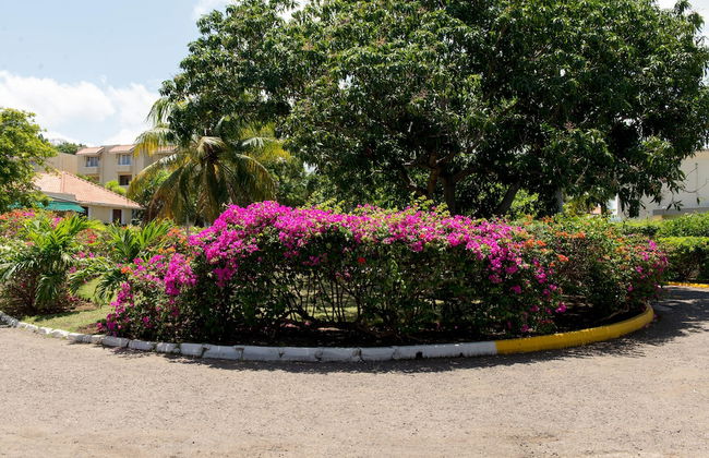 Baywatch Beach at Montego Bay Club - Foto 20