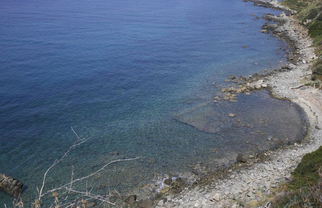 Mansion in Capo Vaticano by the Sea - Photo 35