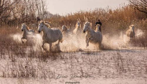 Mas Du Pont Rouge - Foto 5