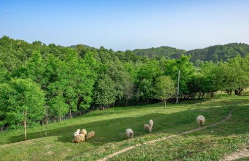 Cozy Apartment In Cerovlje With Wifi - Foto 22