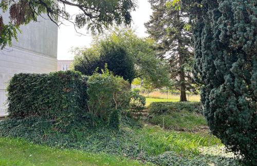 GÎTES Maisons de Champagnes - Foto 10