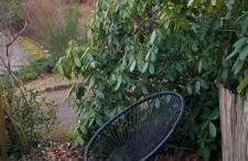 Chambre d'hôtes indépendante à la campagne - Foto 6