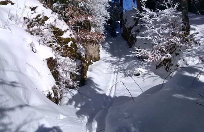 Kirsch Comfortable Holiday Residence - Photo 23