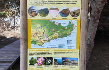 L' Azotea del Sol appartement typique - Foto 38