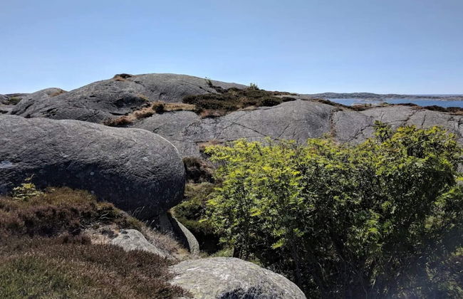 4 Star Holiday Home in Kyrkesund - Foto 14