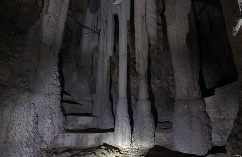 Casa vacanze I PINI E IL CILIEGIO - Foto 44