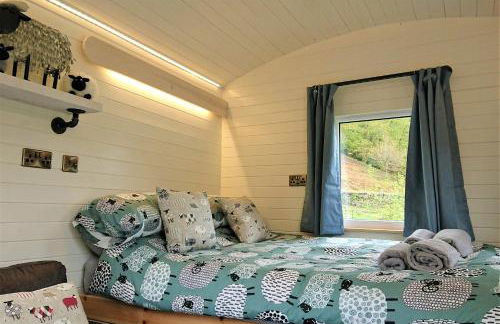 Abergwynant Farm Glamping & Apartments - Foto 28