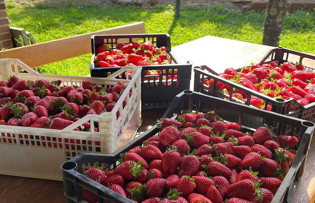 Cascina Ponchietta - Foto 30