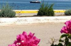 Νηρηίδες - Foto 19