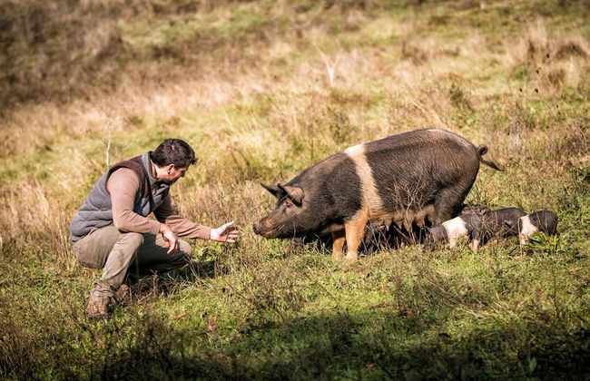 Agriturismo Castello Di Pupaggi - Photo 20