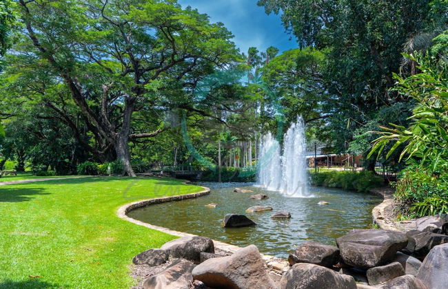 Waterfront Retreat Ocean Views Pool Balcony - Photo 24