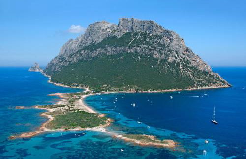 Felix Hotels - Hotel Residence Porto San Paolo - Photo 37