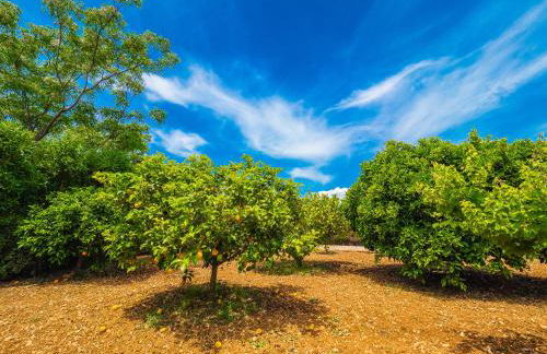 Can Pascolet - Foto 59