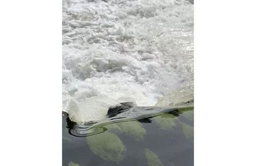 Amazing Holiday Home Near the Lake - Foto 46