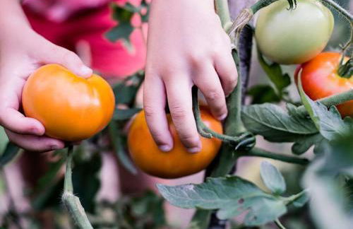 Aldea Rural Pazos De Arenteiro - Foto 37