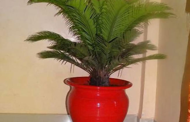 Appartement Marina Beach - Photo 20