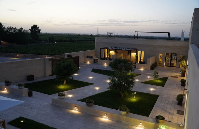 Gianfranco Fino Viticoltore - Foto 1