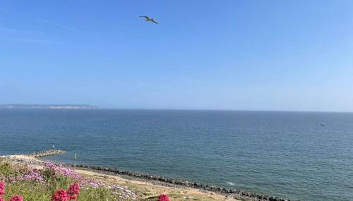 Cosy accommodation, easy walk to beach! - Foto 5