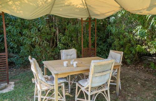 Seashell by halu! - Foto 62