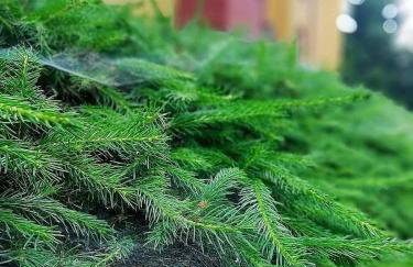 Apartament Fabryka Endorfin Kłodzko - Foto 41