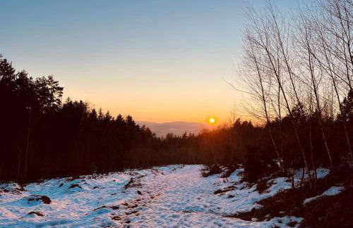 Haus Sonnenblick - Foto 50