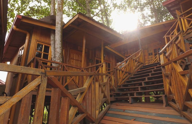 Borneo Tree House - Foto 25