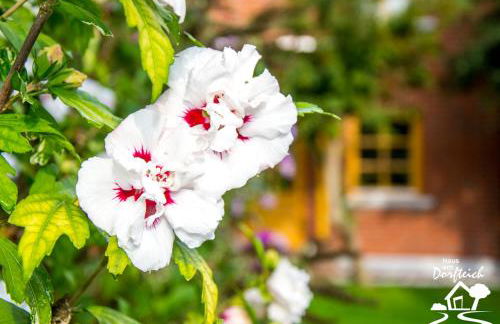 Haus am Dorfteich Fehmarn - Foto 8