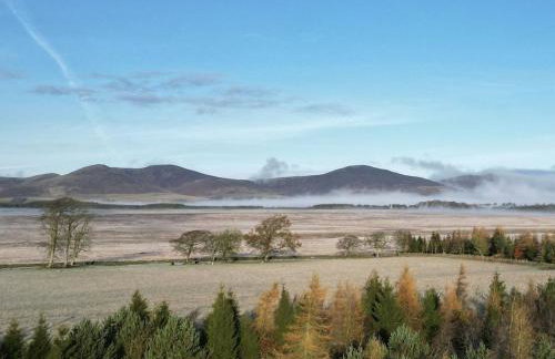 Green Law - Dog Friendly - Foto 21