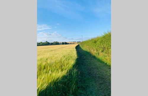 Boundary Stable - Foto 12