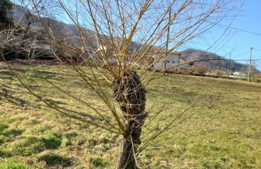 Natura e relax - Foto 21