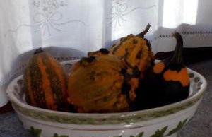 Il cortile dei frutti selvatici - Photo 8