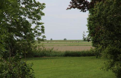 Haus Deichterrasse - Foto 26