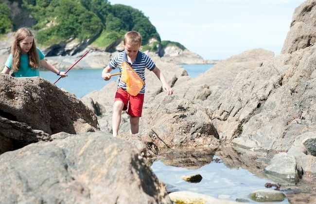 Sandaway Beach Holiday Park - Foto 20