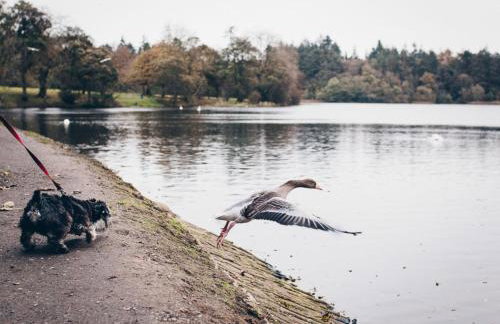 Bay Tree Cottage - Foto 94