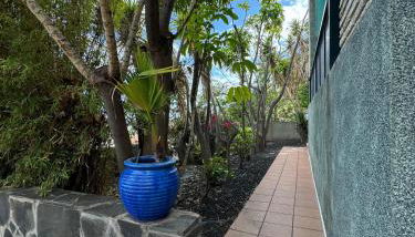 Apartamento céntrico con piscina - Foto 5