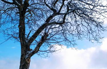 Paradise Apartments Paganella - Foto 19