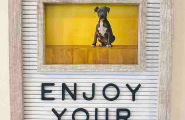 Renovated Grove Bungalow -near Coconut Grove - Foto 9