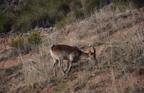 Casa Rural Pernales I - Foto 21