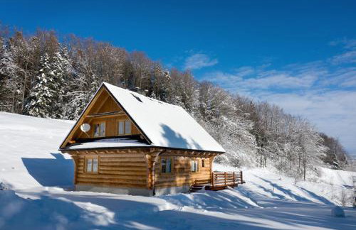 Chata na Kowalówkach - domek w górach - blisko szlaków i wyciągu - Foto 64