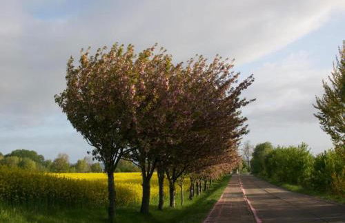 Cozy Holiday Home in Hohenkirchen near Baltic Sea - Foto 49