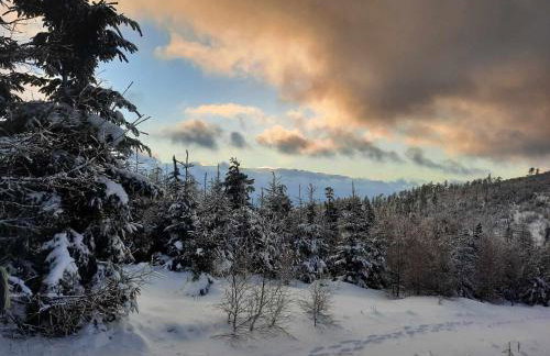 Domek Ostoja - Foto 66