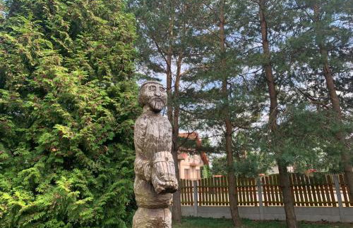 Noclegi Ciesiul - Foto 17