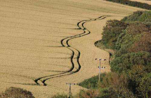 The Old Reading Room - Photo 27