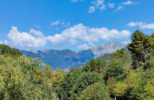 Casa del nonno Gino - Foto 8