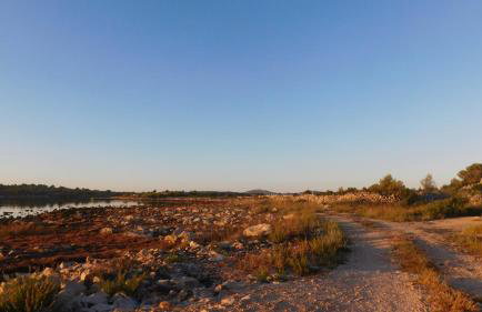 Beach House Marina Grande - Photo 44