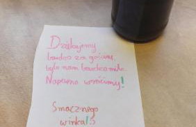 Domek Pod Lasem - Foto 38