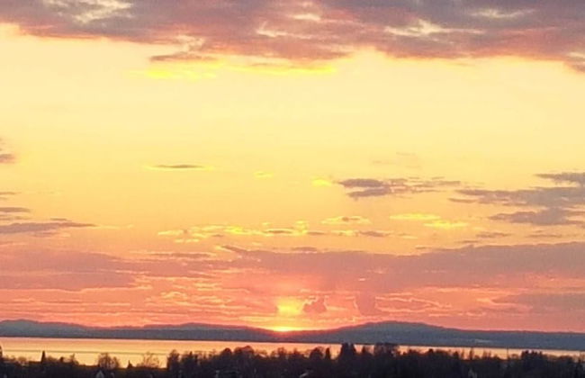 Stunning 1-bed Apartment in Bodolz Lake Constance - Foto 23